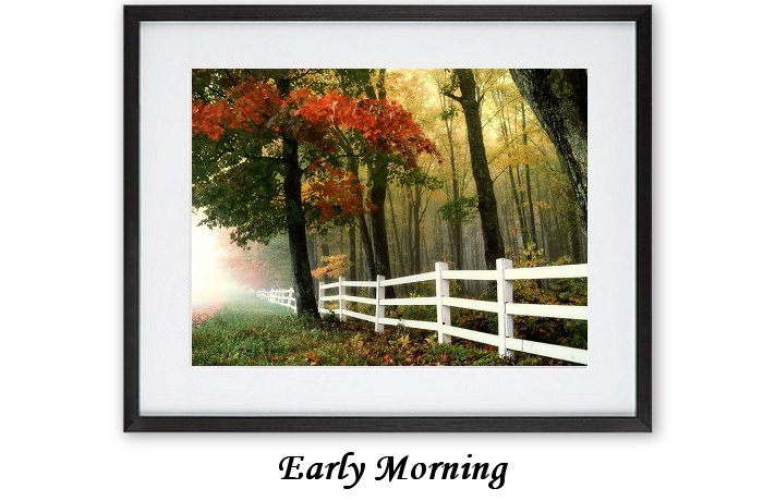 Early Morning Framed Print